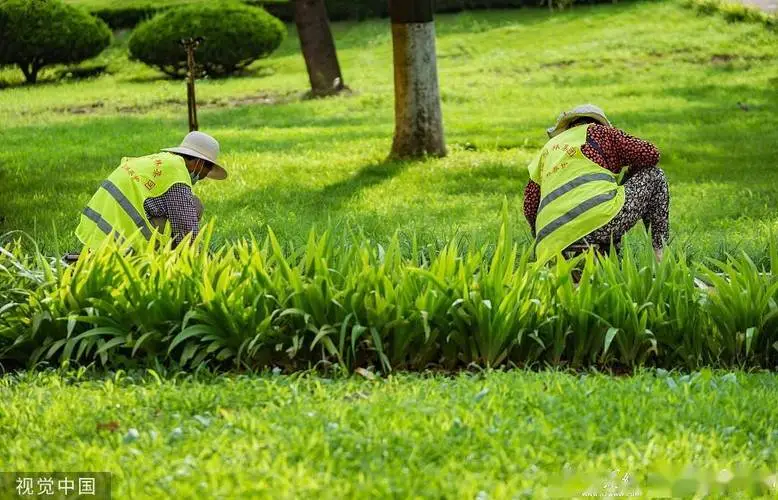 米乐：太阳能光伏花：园区绿化的新宠儿，环保节能的智慧之选