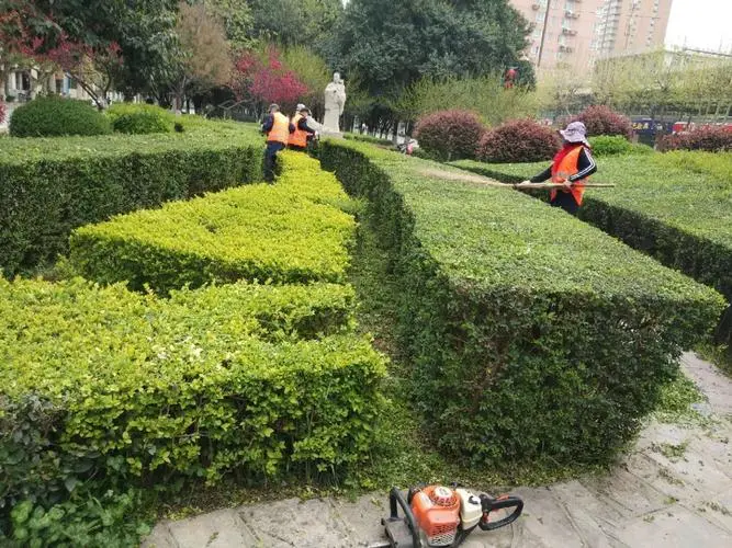 米乐：风景园林专业就业方向与就业前景怎么样