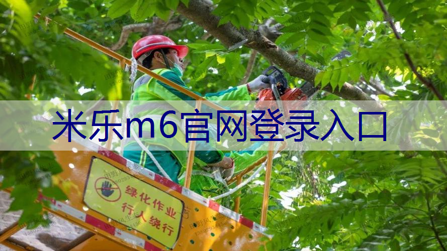 米乐m6官网登录入口：HKU香港大学园林建筑面试如何脱颖而出？看这里！