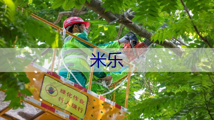 <strong>米乐：成都龙湖三千云锦实地探房-龙湖三千云锦质量、绿化、物业服务如何？</strong>
