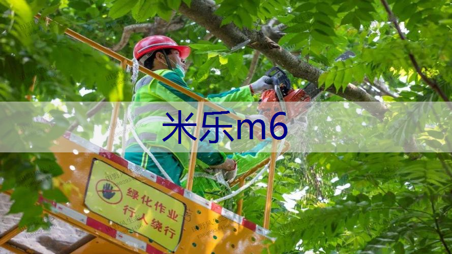 米乐m6官网登录入口：绿化工程好施工吗现在能施工吗